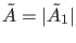$ \tilde{A}=\vert\tilde{A}_1\vert$