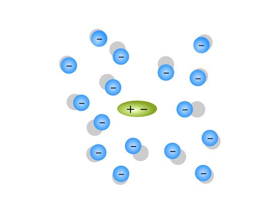 Polaron dynamics