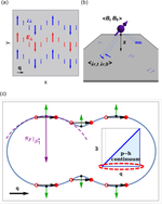 The universal shear conductivity of Fermi liquids and spinon Fermi surface states and its detection via spin qubit noise magnetometry